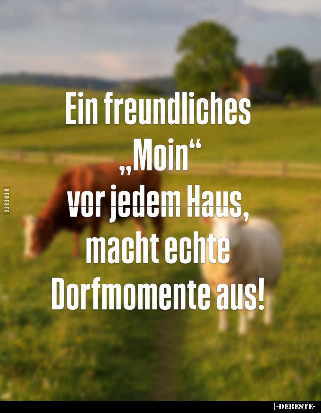 Ein freundliches "Moin" vor jedem Haus, macht echte Dorfmomente aus!