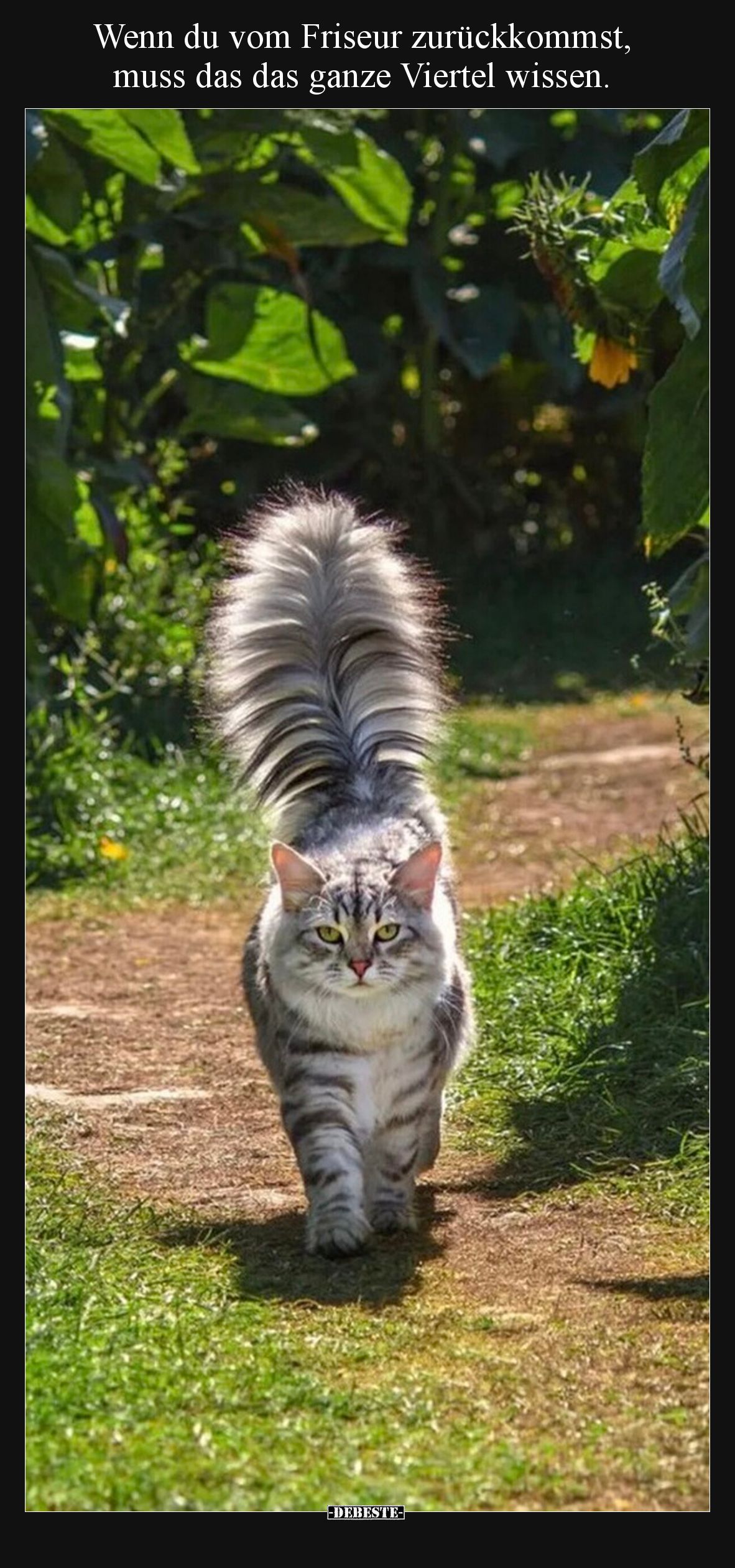 Wenn du vom Friseur zurückkommst, muss das das ganze.. - Lustige Bilder | DEBESTE.de