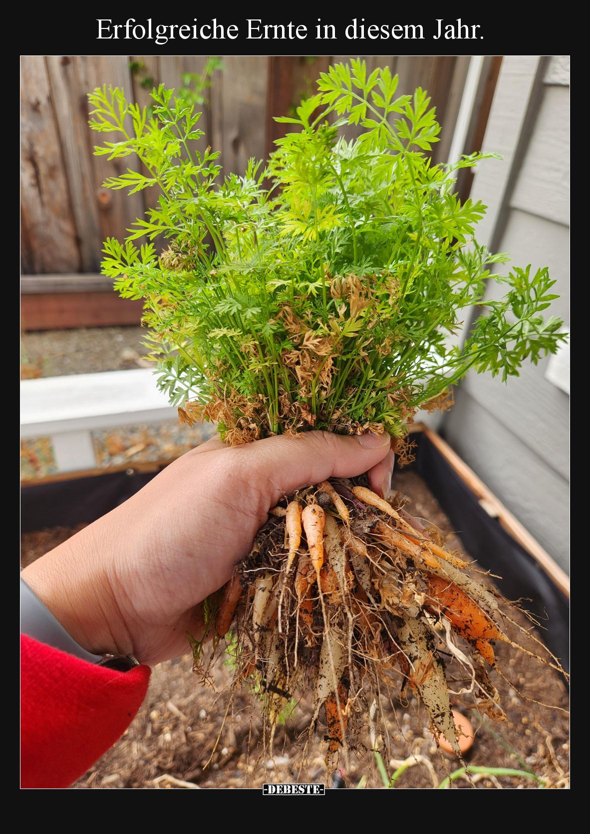 Erfolgreiche Ernte in diesem Jahr.