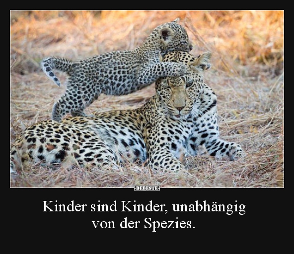 Kinder sind Kinder, unabhängig von der Spezies...