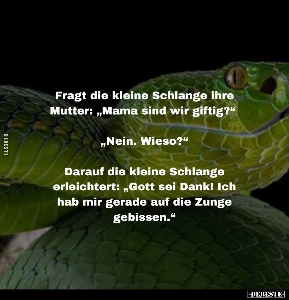 Fragt die kleine Schlange ihre Mutter... - Lustige Bilder | DEBESTE.de