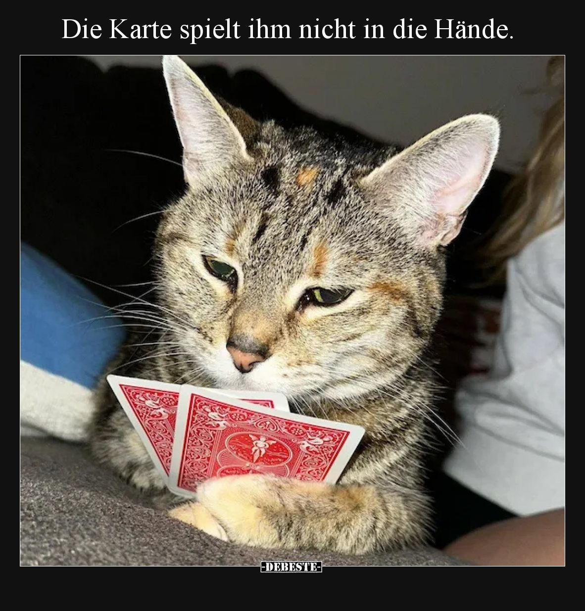Die Karte spielt ihm nicht in die Hände... - Lustige Bilder | DEBESTE.de