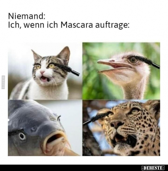 Niemand: Ich, wenn ich Mascara auftrage.. - Lustige Bilder | DEBESTE.de