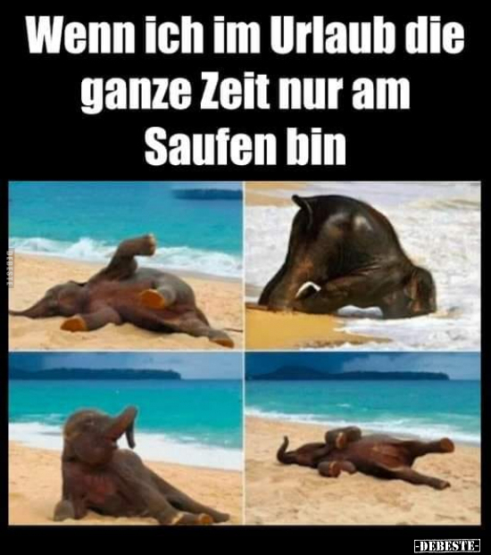 Wenn ich im Urlaub die ganze Zeit nur am Saufen bin.. - Lustige Bilder | DEBESTE.de