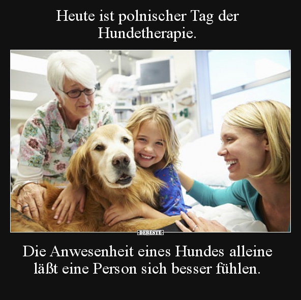Heute ist polnischer Tag der  Hundetherapie.. - Lustige Bilder | DEBESTE.de