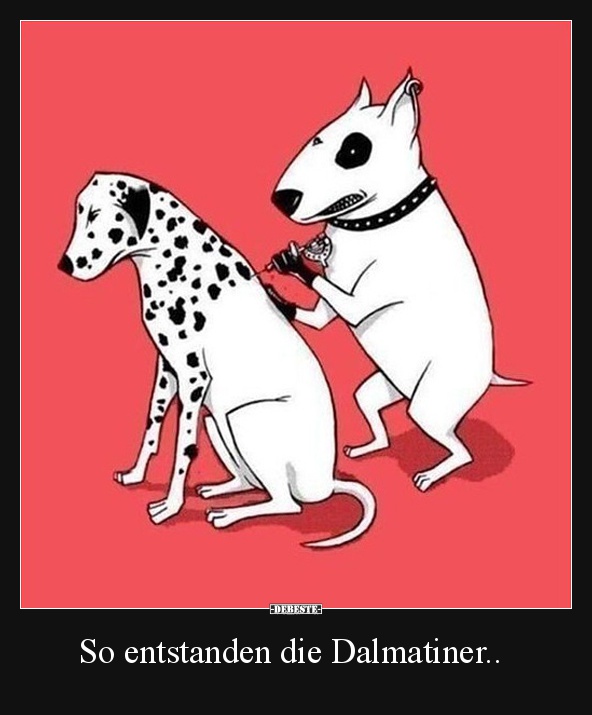 So entstanden die Dalmatiner..