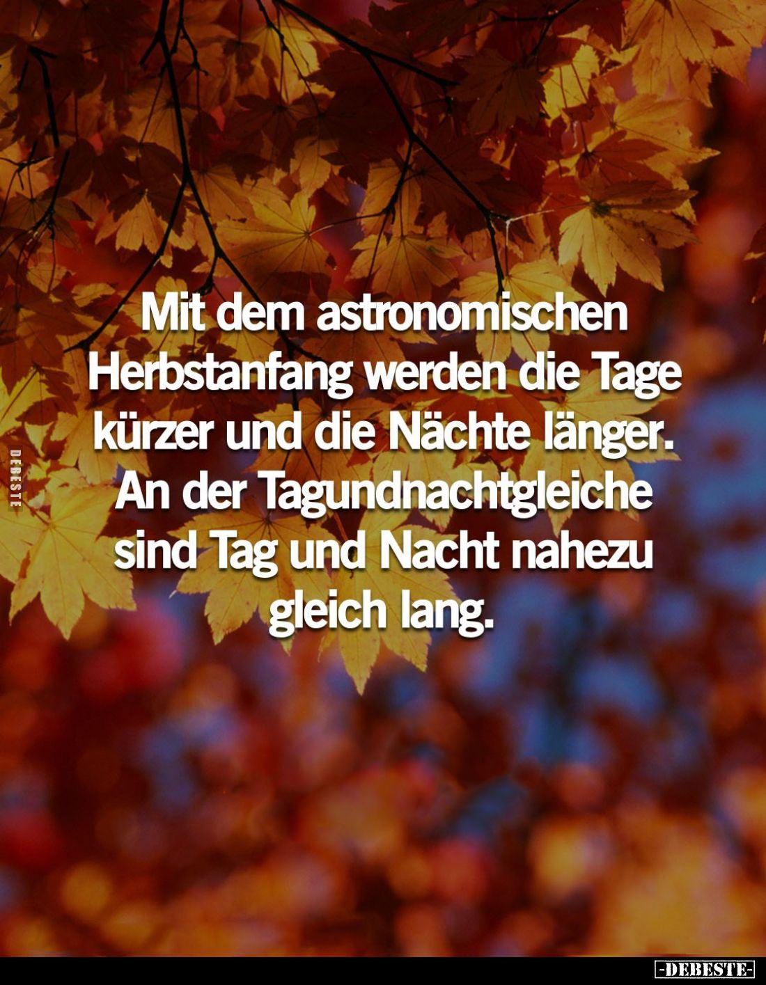 Mit dem astronomischen Herbstanfang werden die Tage kürzer und die Nächte länger. An der Tagundnachtgleiche sind Tag und Nach...