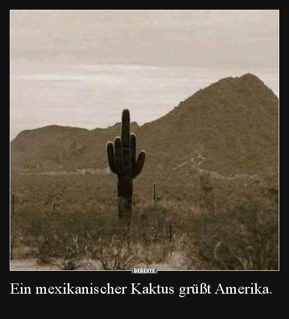 Ein mexikanischer Kaktus grüßt Amerika... - Lustige Bilder | DEBESTE.de