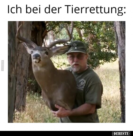 Ich bei der Tierrettung.. - Lustige Bilder | DEBESTE.de