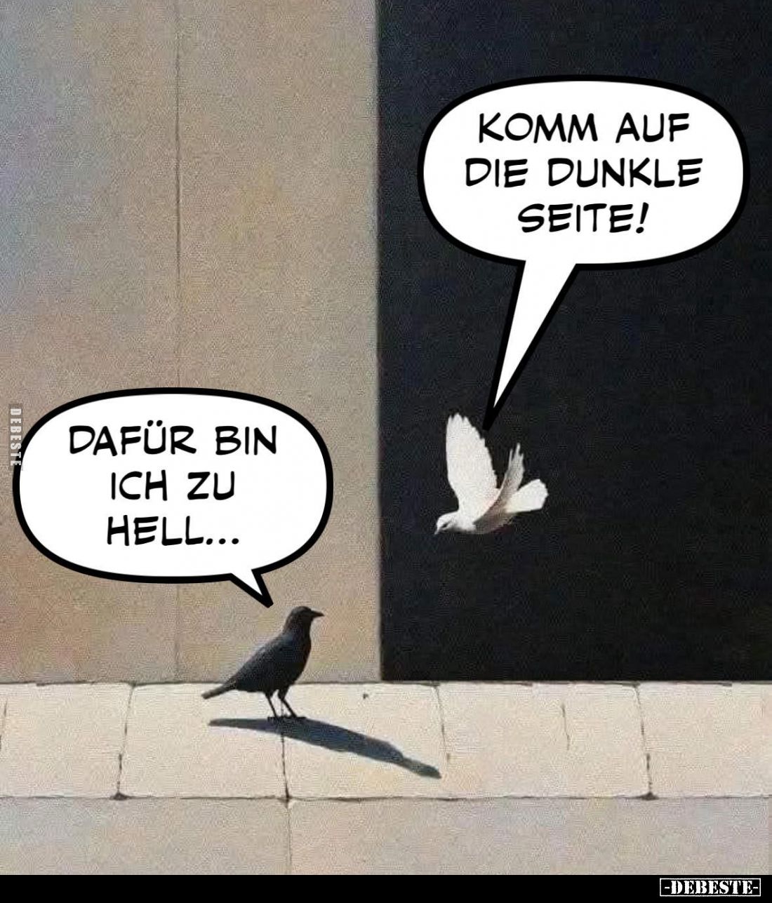 Komm auf die dunkle Seite! -
Dafür bin ich zu hell...