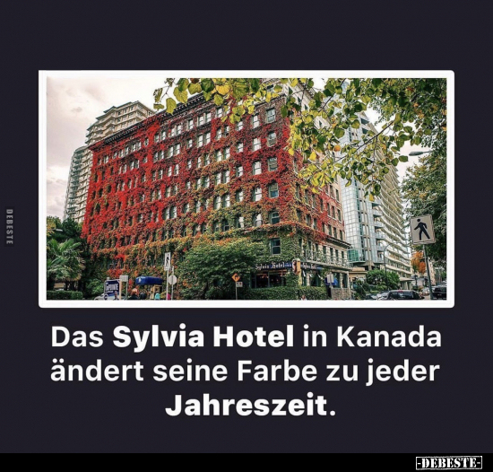 Das Sylvia Hotel in Kanada ändert seine Farbe zu jeder Jahreszeit.. - Lustige Bilder | DEBESTE.de