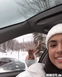 Freundlicher Geselle..