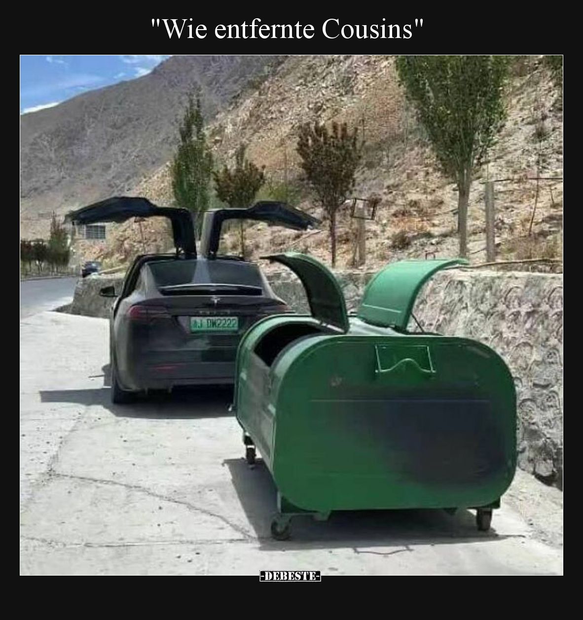Wie entfernte Cousins.