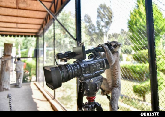  - Lustige Bilder | DEBESTE.de