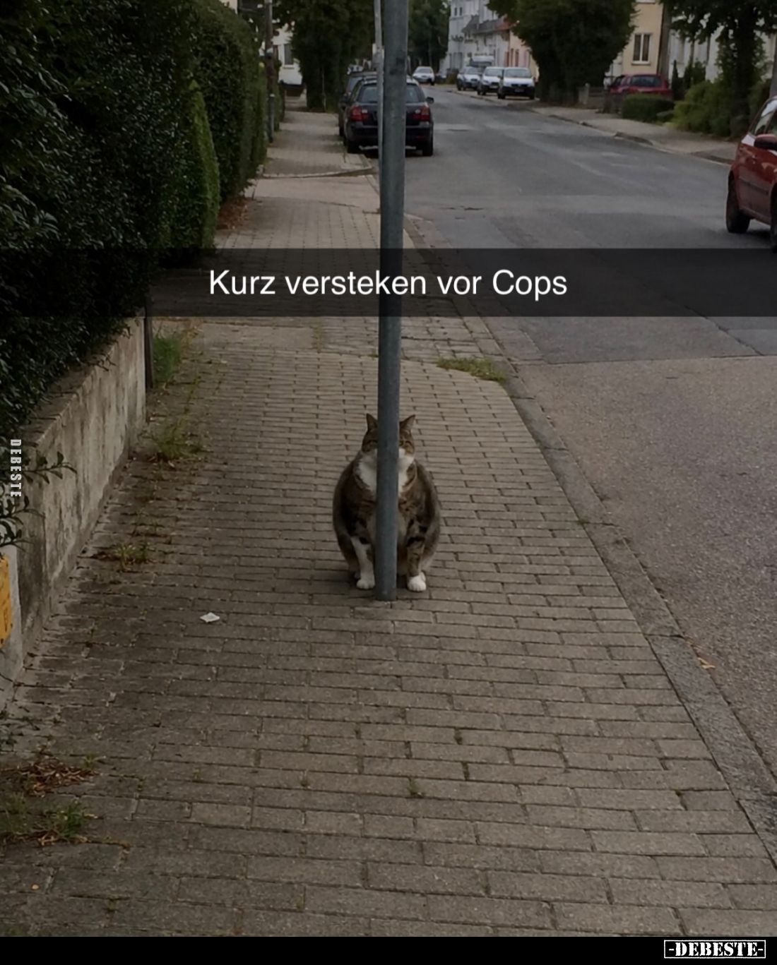 Kurz verstecken vor Cops