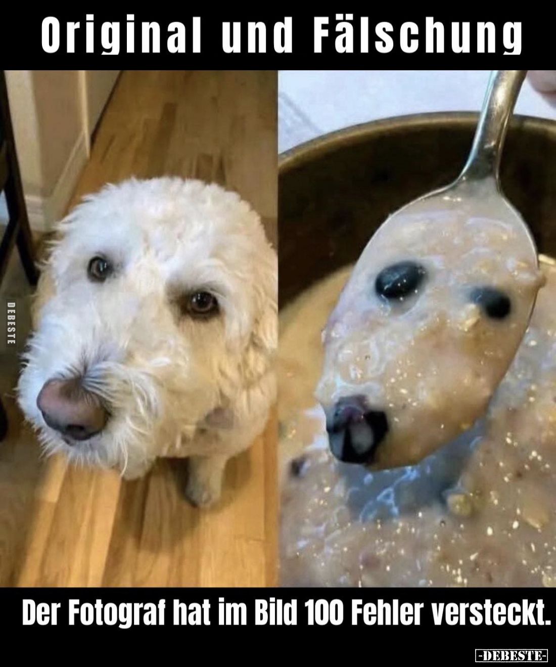 Original und Fälschung:
Der Fotograf hat im Bild 100 Fehler versteckt.