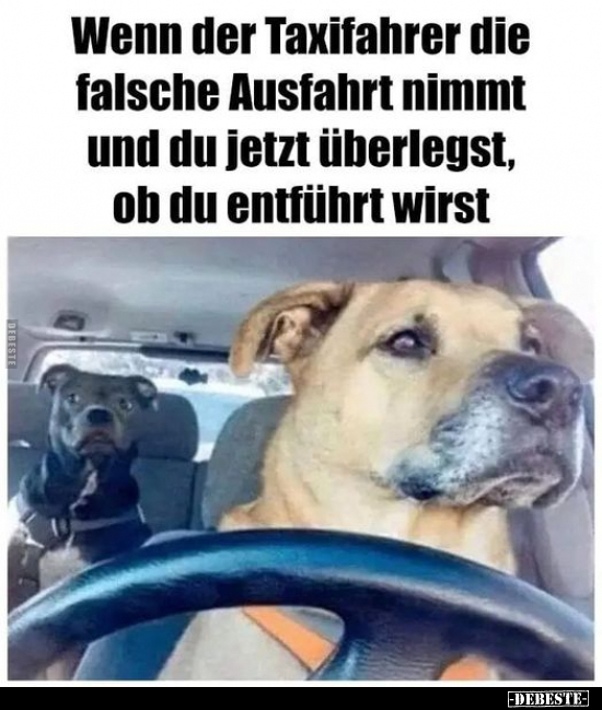 Wenn der Taxifahrer die falsche Ausfahrt nimmt und du jetzt.. - Lustige Bilder | DEBESTE.de