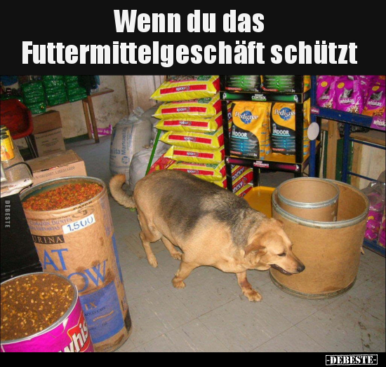 Wenn du das Futtermittelgeschäft schützt.. - Lustige Bilder | DEBESTE.de