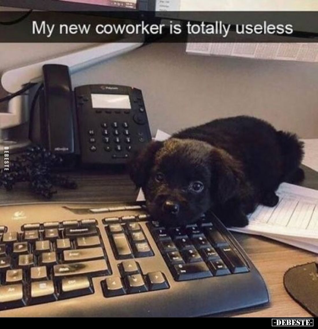 My new coworker is totally useless.