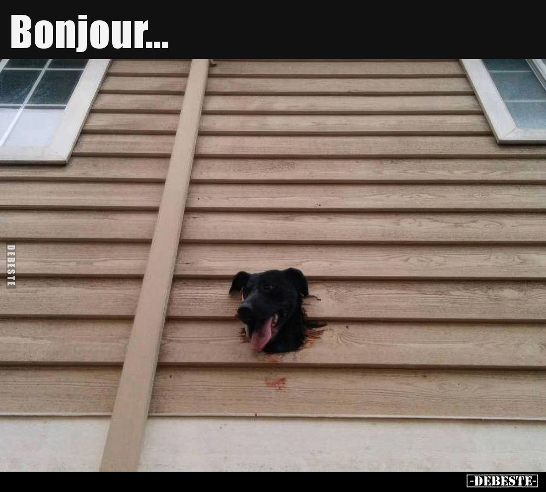 Bonjour...