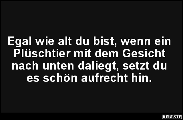 Egal wie alt du bist, wenn ein Plüschtier.. - Lustige Bilder | DEBESTE.de