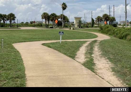  - Lustige Bilder | DEBESTE.de