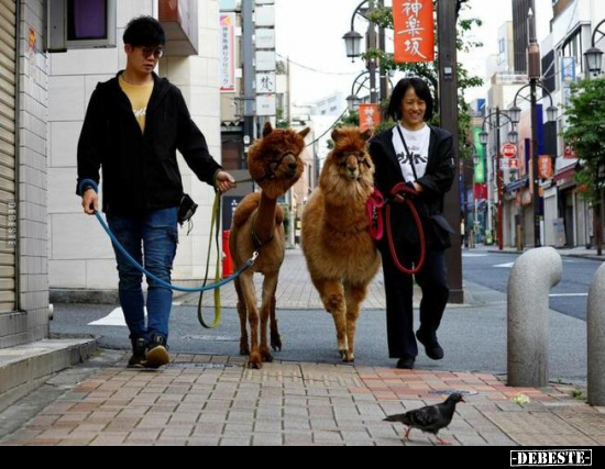  - Lustige Bilder | DEBESTE.de