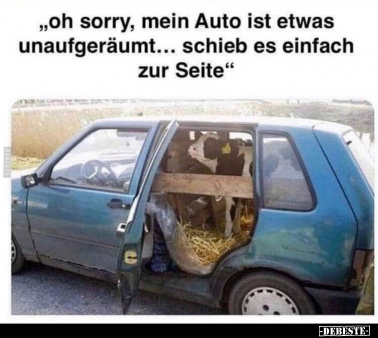 "Oh sorry, mein Auto ist etwas unaufgeräumt..." - Lustige Bilder | DEBESTE.de