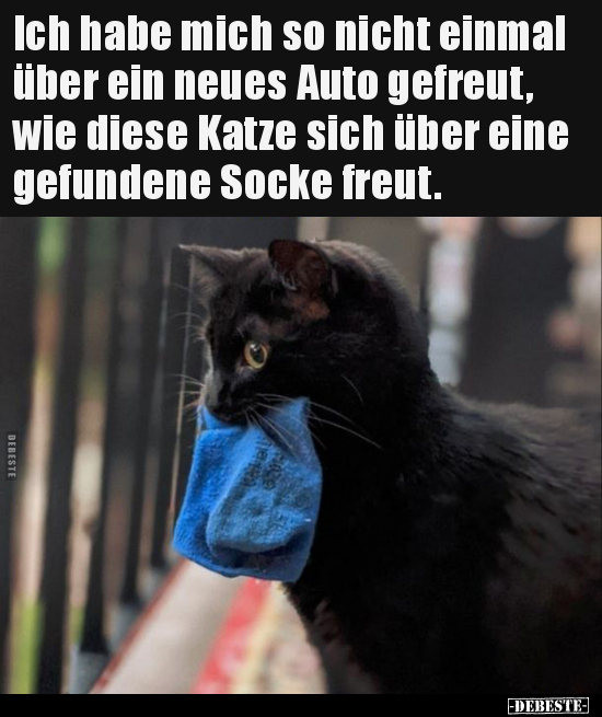 Ich habe mich so nicht einmal über ein neues Auto gefreut.. - Lustige Bilder | DEBESTE.de