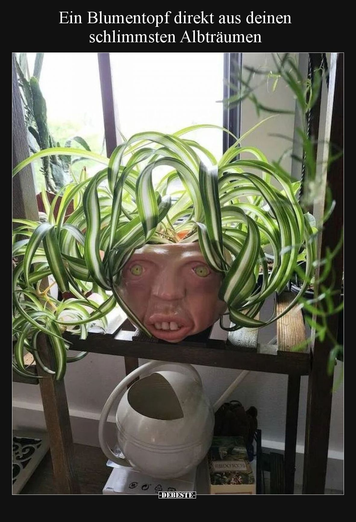 Ein Blumentopf direkt aus deinen schlimmsten Albträumen.