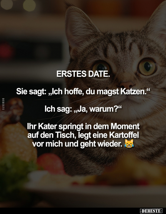 Erstes Date, Date, Kater, Tisch, Kartoffel