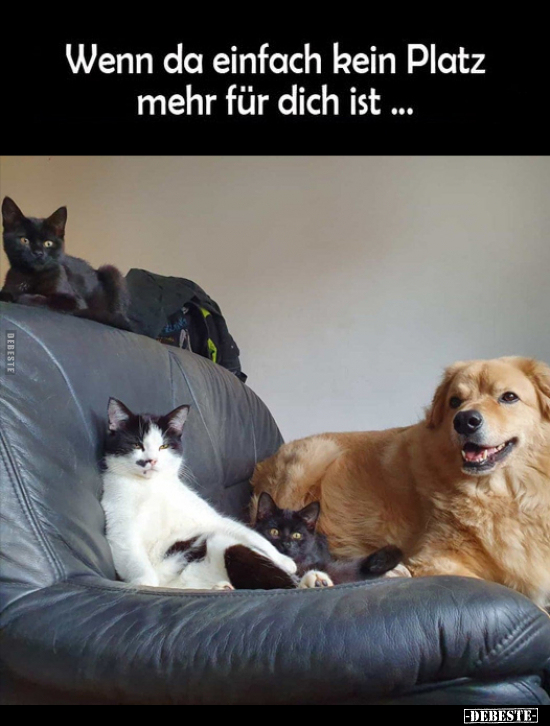 Wenn da einfach kein Platz.. - Lustige Bilder | DEBESTE.de