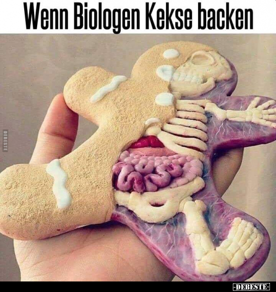 Wenn Biologen Kekse backen... - Lustige Bilder | DEBESTE.de