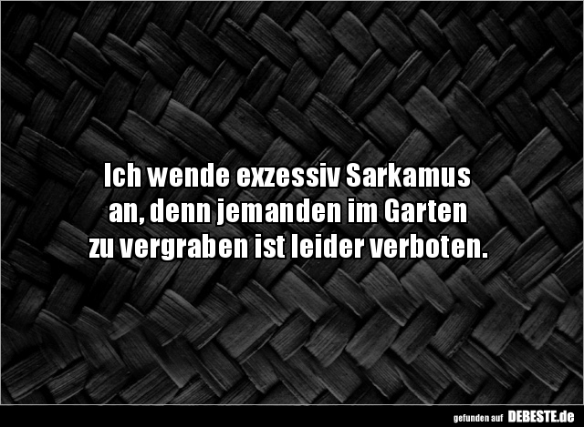 Ich wende exzessiv Sarkamus an, denn jemanden im.. - Lustige Bilder | DEBESTE.de