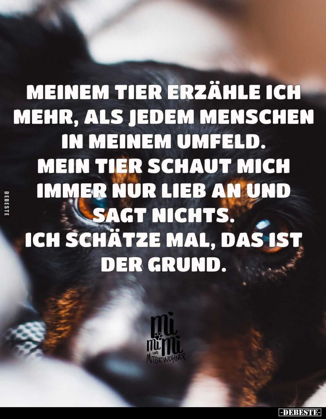 Meinem Tier erzähle ich mehr, als jedem Menschen in meinem Umfeld.
Mein Tier schaut mich immer nur lieb an und sagt nichts.
...