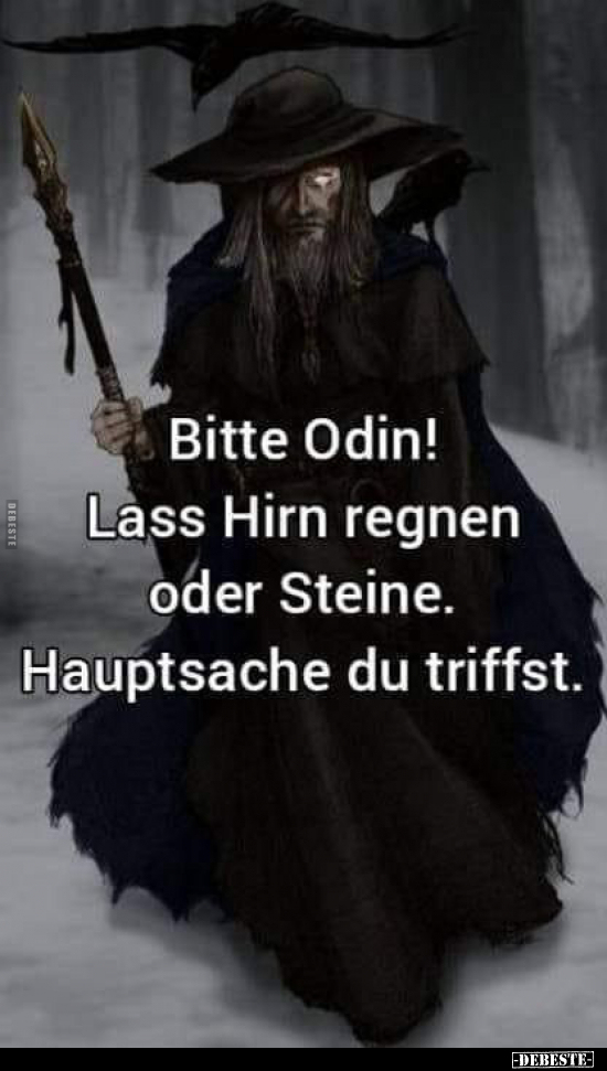 Bitte Odin! Lass Hirn regnen oder Steine.. - Lustige Bilder | DEBESTE.de