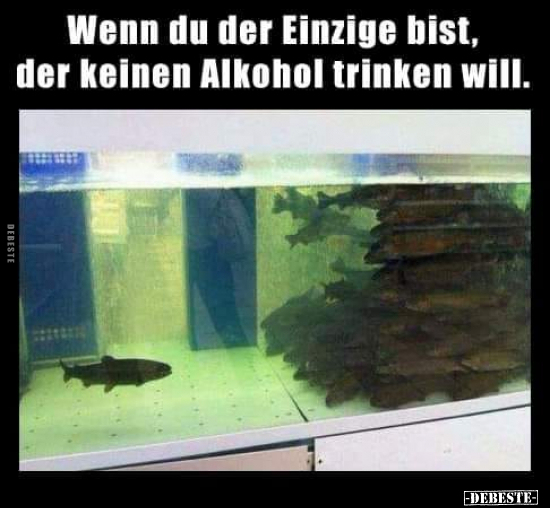 Wenn du der Einzige bist, der keinen Alkohol trinken.. - Lustige Bilder | DEBESTE.de