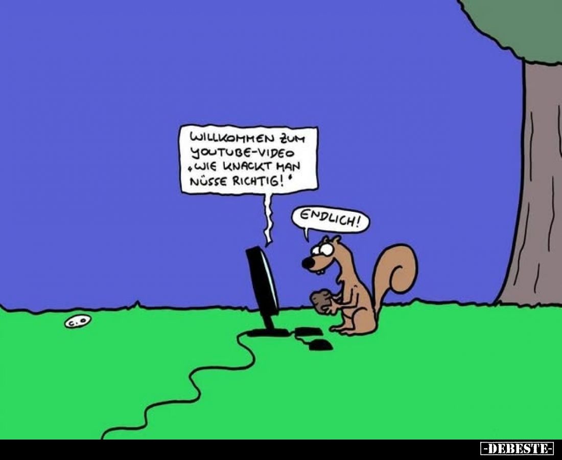 Willkommen zum YouTube-Video „Wie knackt man Nüsse.." - Lustige Bilder | DEBESTE.de