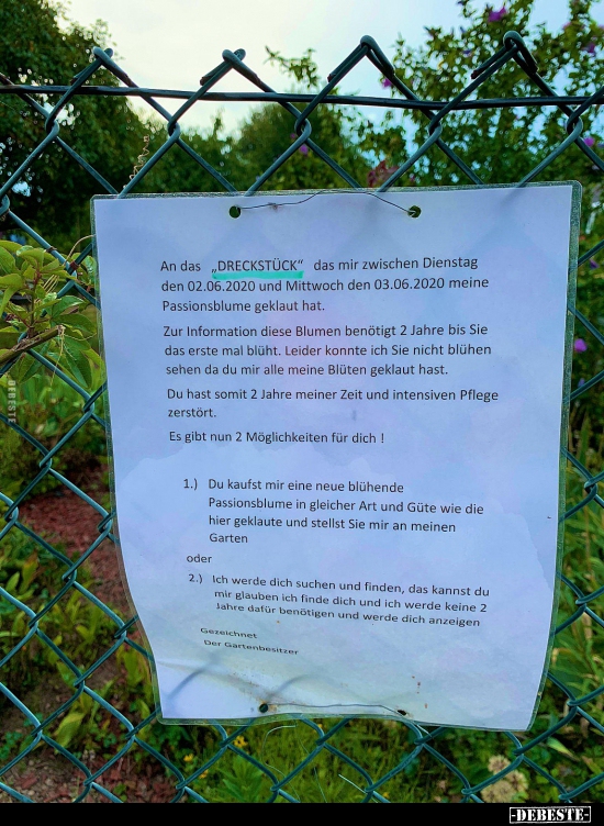 An das "DRECKSTÜCK" das mir zwischen Dienstag den..