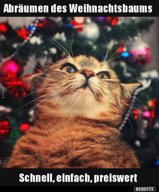 Abräumen des Weihnachtsbaums..