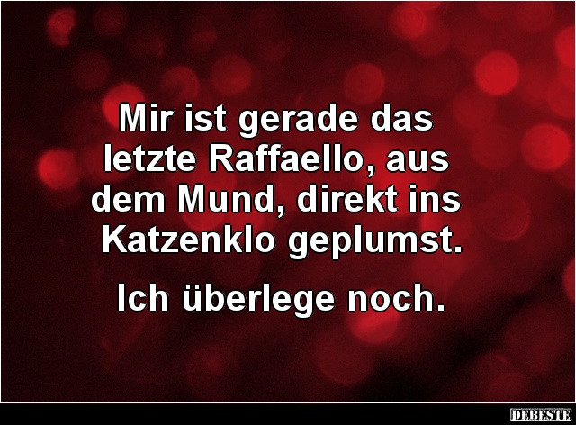 Mir ist gerade das letzte Raffaello, aus dem Mund.. - Lustige Bilder | DEBESTE.de
