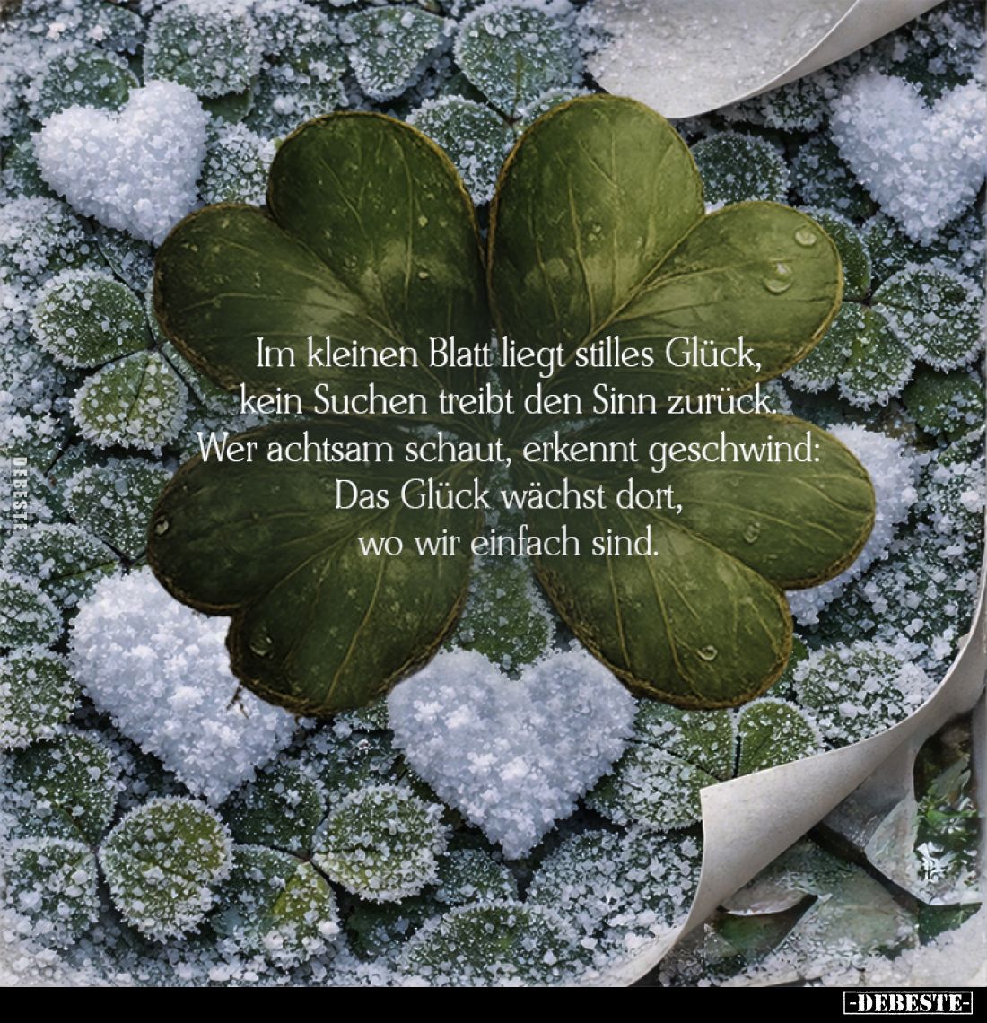 Im kleinen Blatt liegt stilles Glück, kein Suchen treibt den Sinn zurück. Wer achtsam schaut, erkennt geschwind: Das Glück wä...