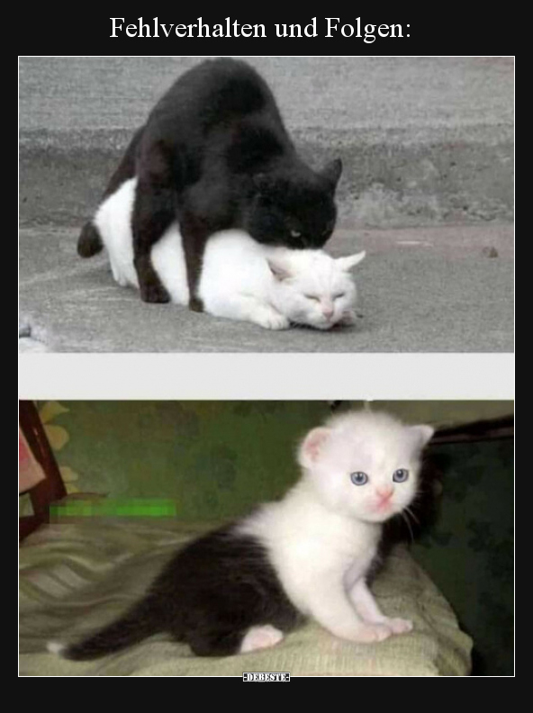 Fehlverhalten und Folgen: