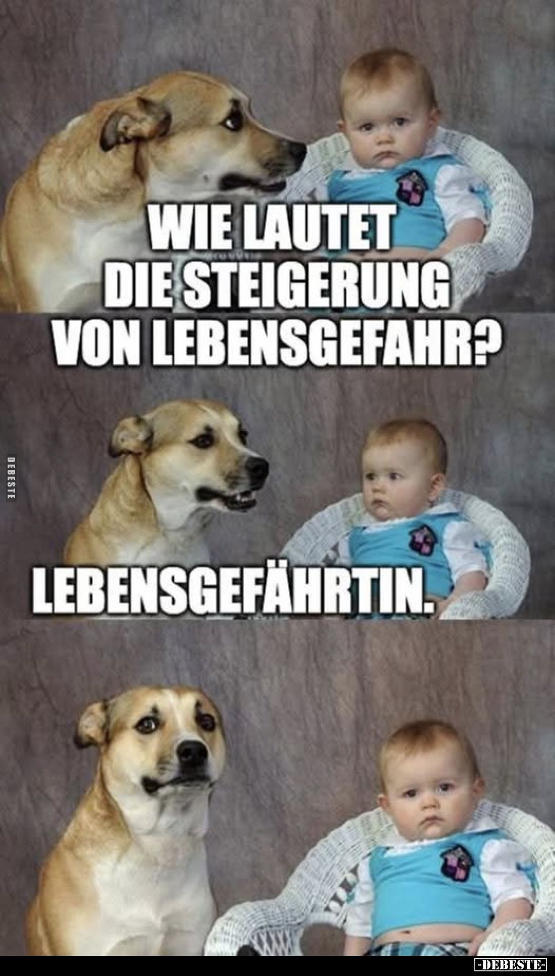 Wie lautet die Steigerung von Lebensgefahr?.. - Lustige Bilder | DEBESTE.de