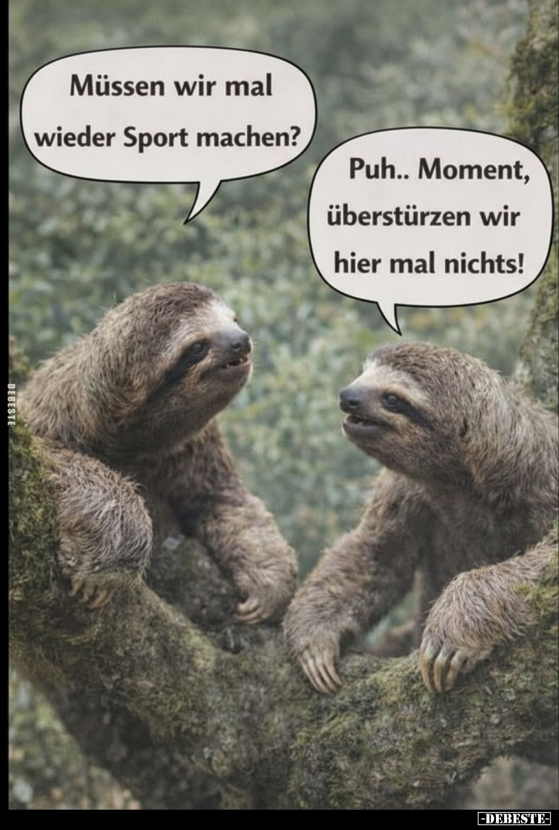 Müssen wir mal wieder Sport machen?
-
Puh.. Moment, überstürzen wir hier mal nichts!
