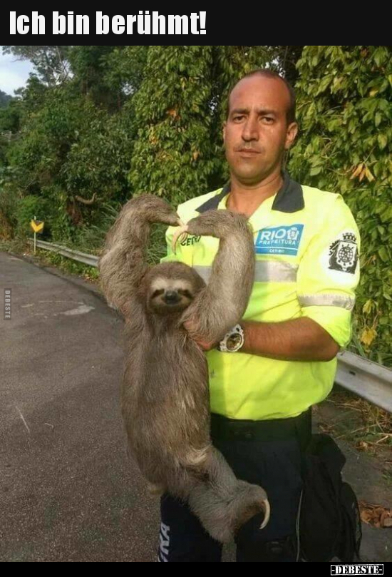 Ich bin berühmt!..