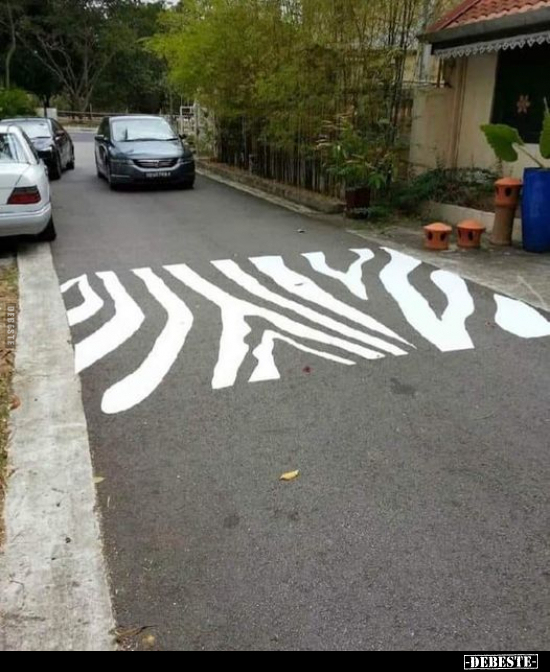  - Lustige Bilder | DEBESTE.de