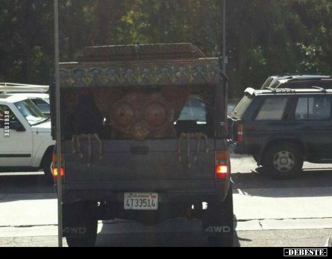  - Lustige Bilder | DEBESTE.de