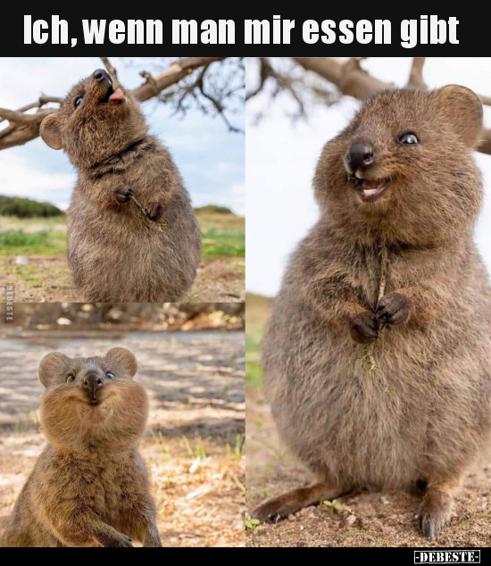 Ich, wenn man mir essen gibt..