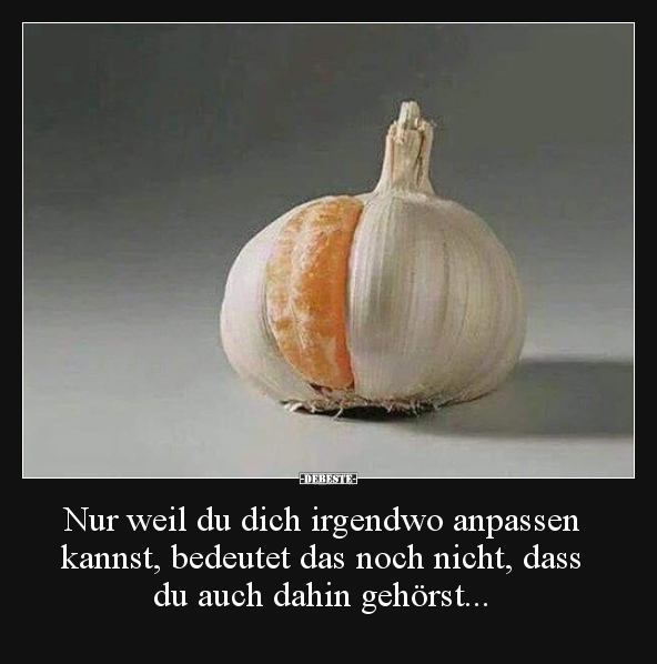 Nur weil du dich irgendwo anpassen kannst, bedeutet das..